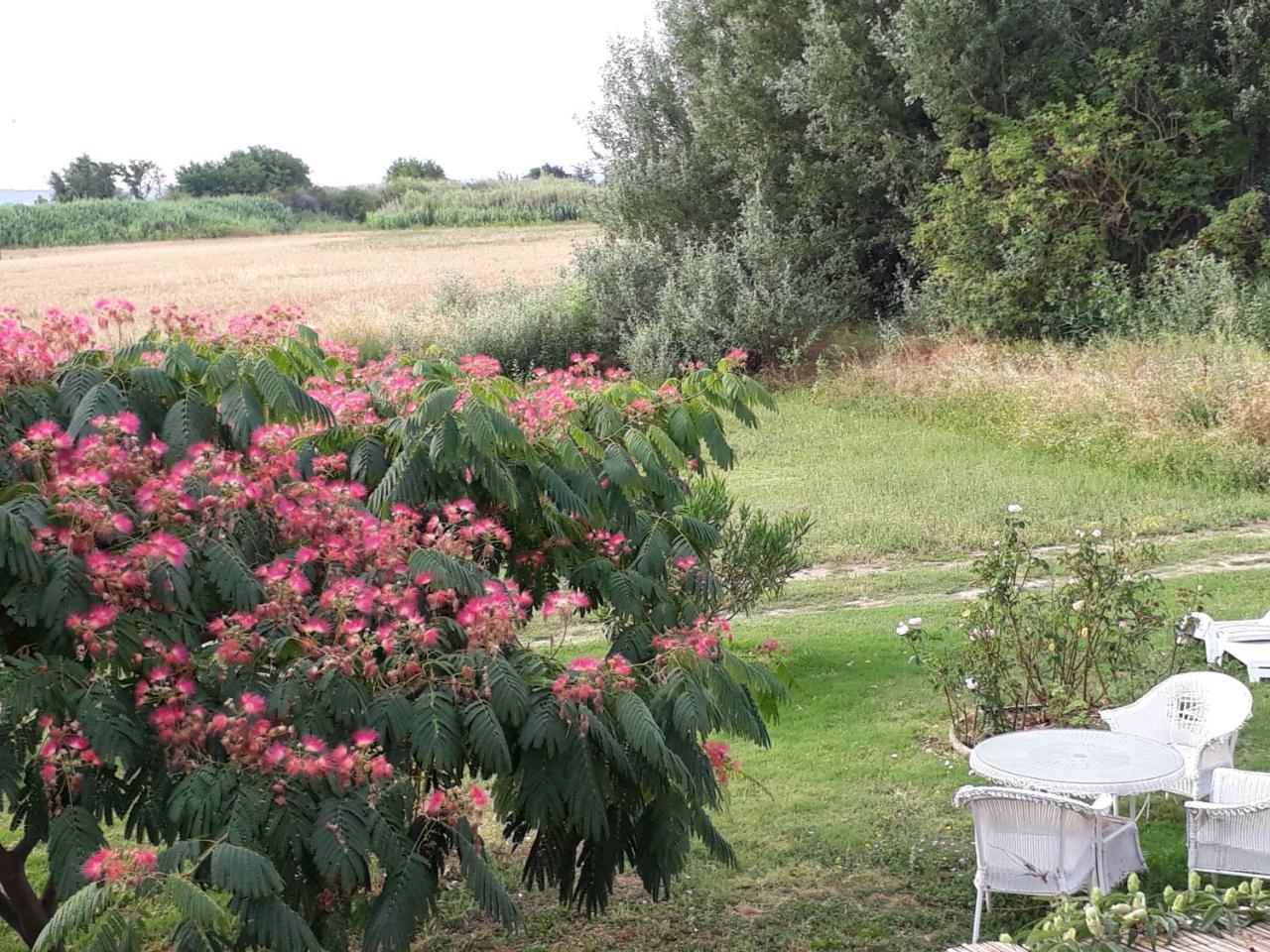 Hotel Aux Roses De L'Etang Capestang Esterno foto