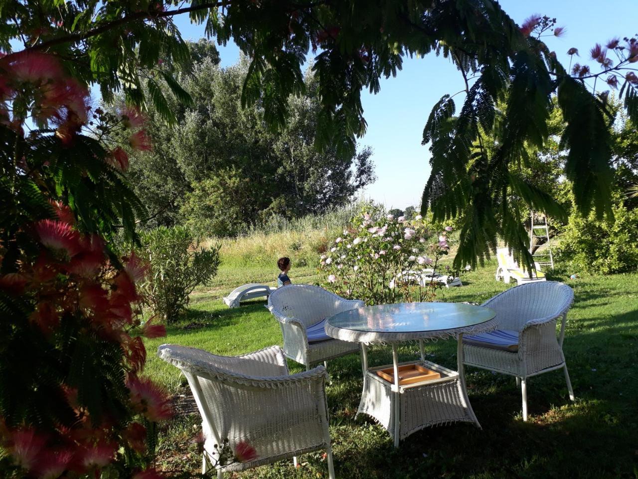 Hotel Aux Roses De L'Etang Capestang Esterno foto