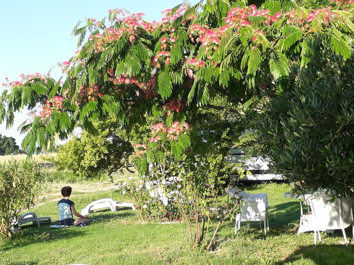 Hotel Aux Roses De L'Etang Capestang Esterno foto