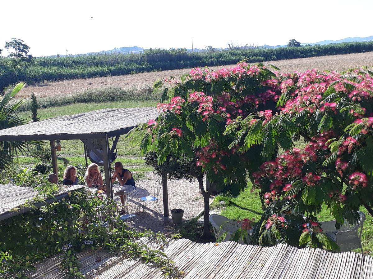 Hotel Aux Roses De L'Etang Capestang Esterno foto